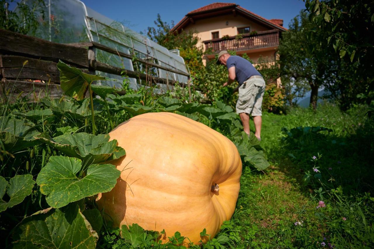 Вилла Tourist Farm Kolar Ljubno Экстерьер фото