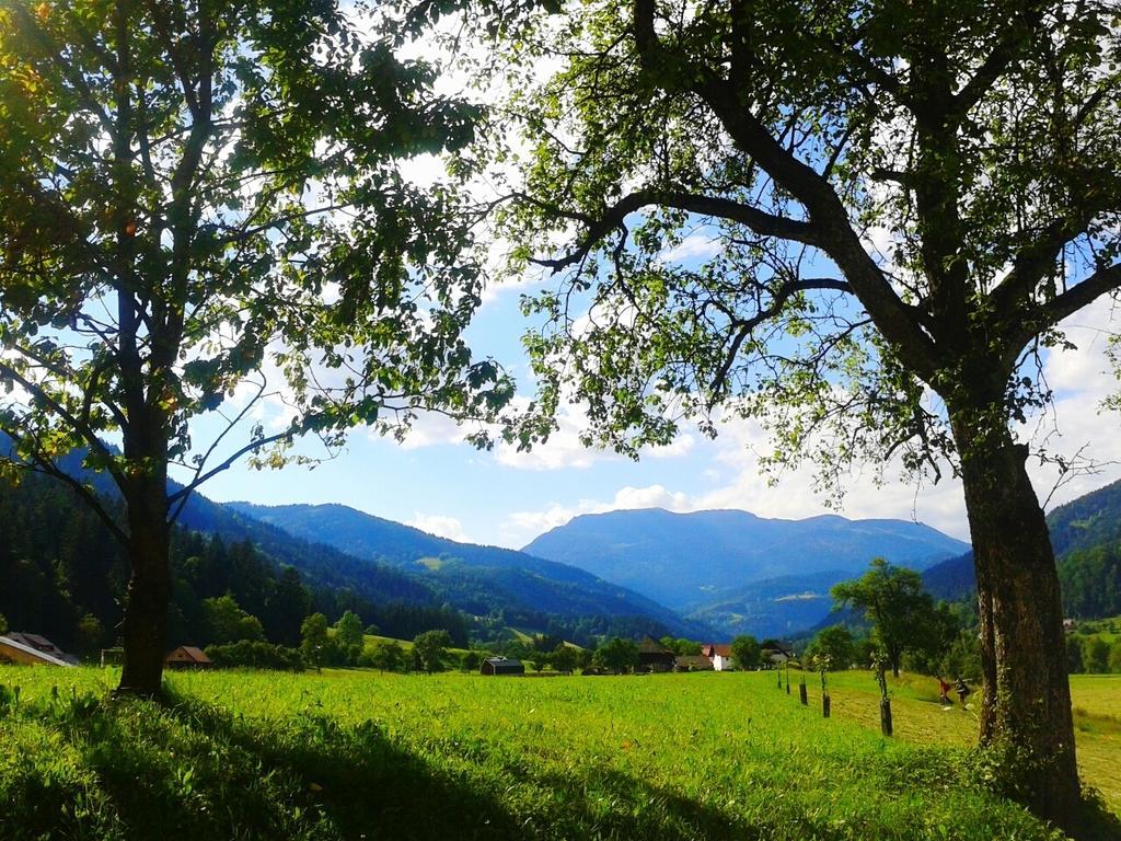 Вилла Tourist Farm Kolar Ljubno Экстерьер фото