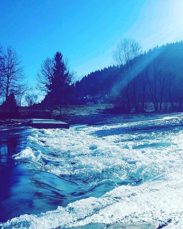 Вилла Tourist Farm Kolar Ljubno Экстерьер фото